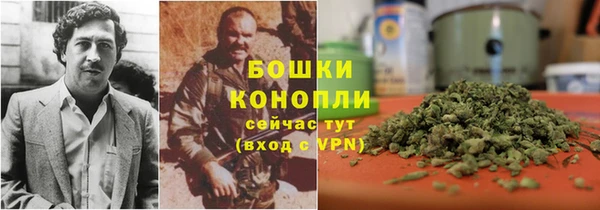 шишки Михайлов