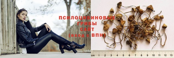 шишки Михайлов