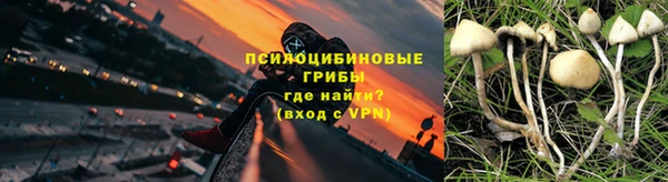 шишки Михайлов