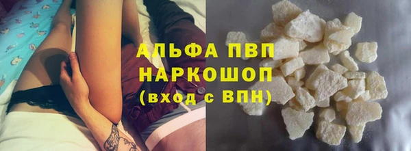 дживик Анжеро-Судженск