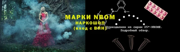 скорость Пионерский