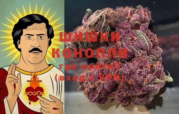 шишки Михайлов