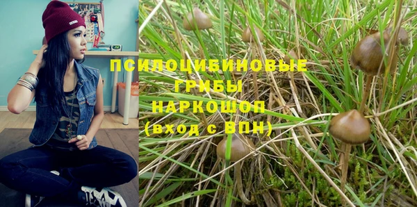 ГАЛЛЮЦИНОГЕННЫЕ ГРИБЫ Михайловск